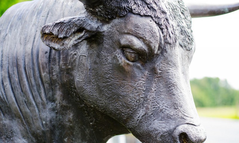 比特币算力创历史新高!“牛市已至”再获实锤